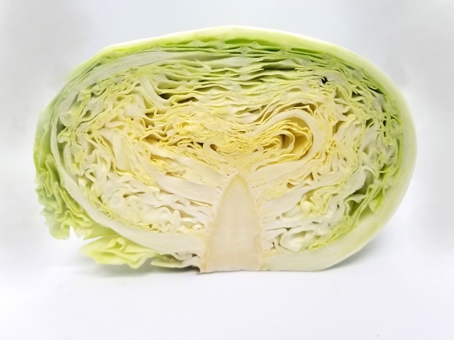 キャベツ